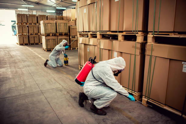 Wildlife Control Services in Tyler, MN