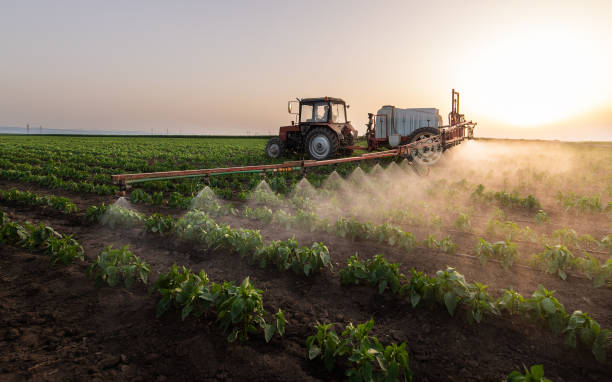 Professional Pest Control in Tyler, MN