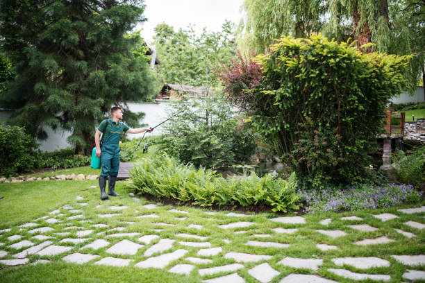 Best Best Pest Control Companies  in Tyler, MN