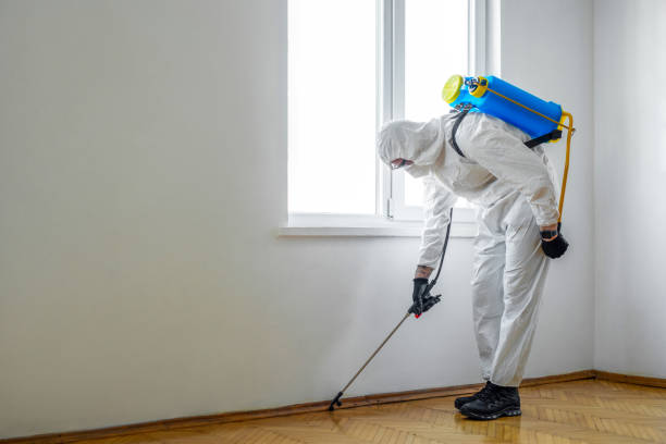 Best Mosquito Control Services  in Tyler, MN