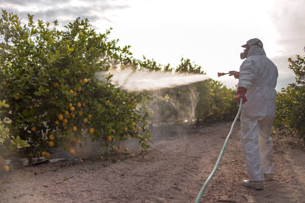 Best Best Pest Control Near Me  in Tyler, MN