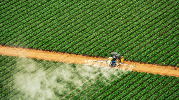 Best Commercial Pest Control Services  in Tyler, MN