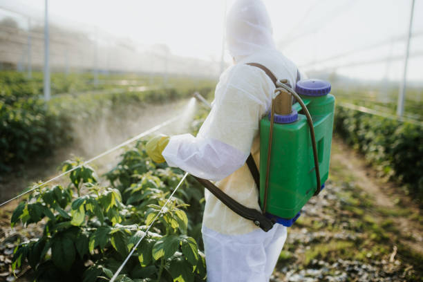 Best Pest Removal Services  in Tyler, MN
